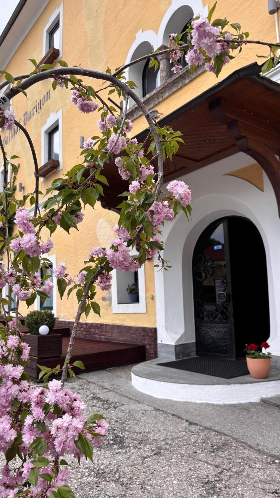 Gasthof Durigon Ramingstein Екстер'єр фото